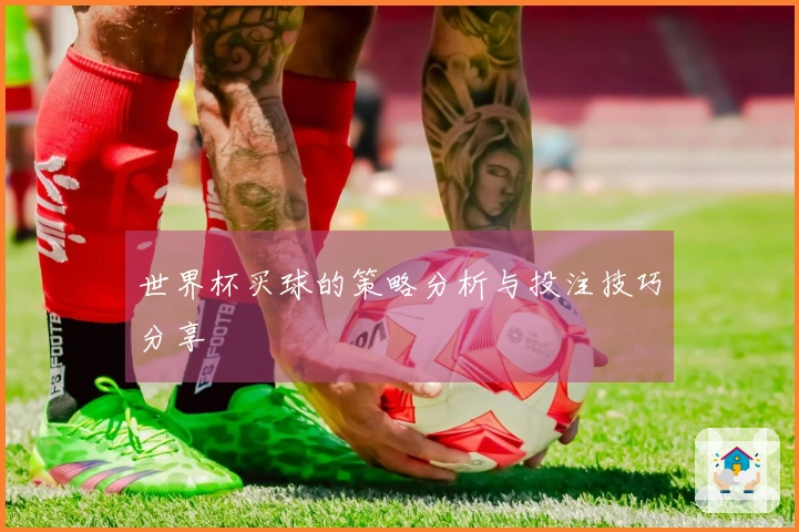 世界杯买球的策略分析与投注技巧分享
