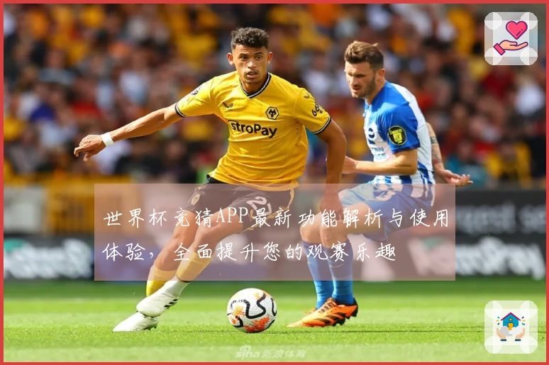 世界杯竞猜APP最新功能解析与使用体验，全面提升您的观赛乐趣