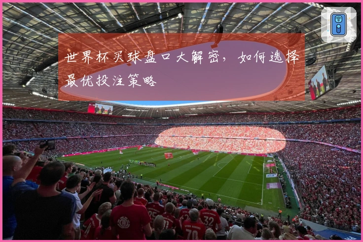 世界杯买球盘口大解密，如何选择最优投注策略