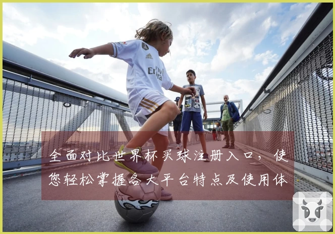全面对比世界杯买球注册入口，使您轻松掌握各大平台特点及使用体验