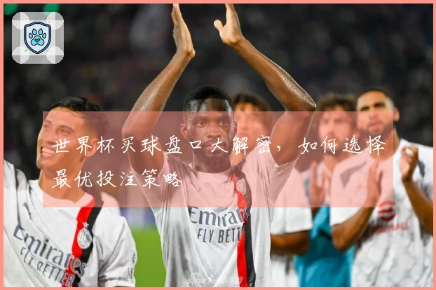 世界杯买球盘口大解密,如何选择最优投注策略